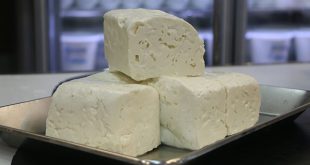 خرید پنیر حلب